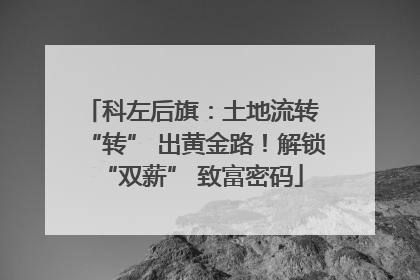 科左后旗：土地流转 “转” 出黄金路！解锁 “双薪” 致富密码