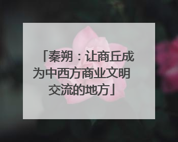 秦朔：让商丘成为中西方商业文明交流的地方