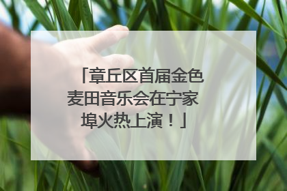 章丘区首届金色麦田音乐会在宁家埠火热上演！