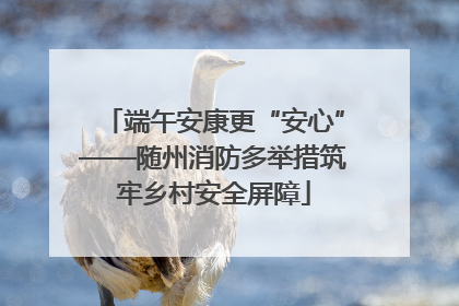 端午安康更“安心”——随州消防多举措筑牢乡村安全屏障