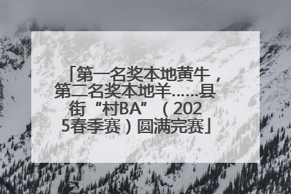 第一名奖本地黄牛，第二名奖本地羊……县街“村BA”（2025春季赛）圆满完赛