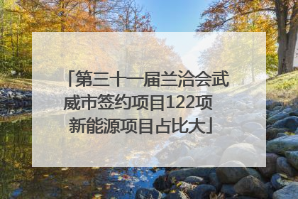 第三十一届兰洽会武威市签约项目122项 新能源项目占比大
