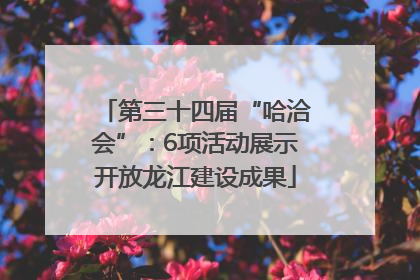 第三十四届“哈洽会”：6项活动展示开放龙江建设成果