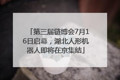 第三届链博会7月16日启幕，湖北人形机器人即将在京集结