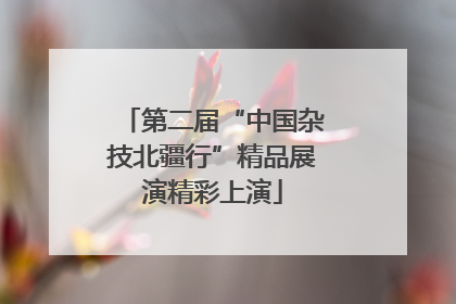 第二届“中国杂技北疆行”精品展演精彩上演