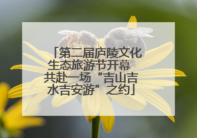 第二届庐陵文化生态旅游节开幕 共赴一场“吉山吉水吉安游”之约
