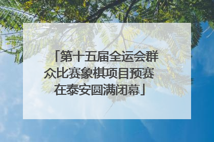 第十五届全运会群众比赛象棋项目预赛在泰安圆满闭幕