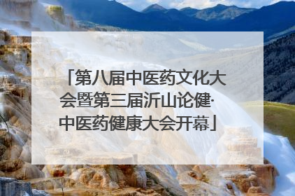 第八届中医药文化大会暨第三届沂山论健·中医药健康大会开幕