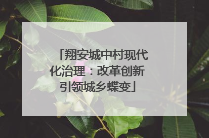 翔安城中村现代化治理：改革创新引领城乡蝶变