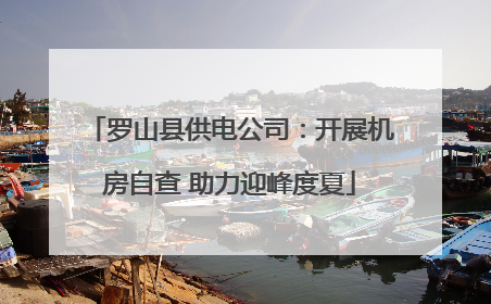 罗山县供电公司：开展机房自查 助力迎峰度夏