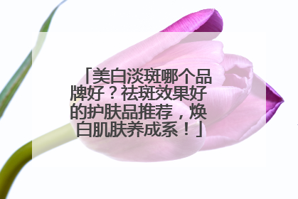 美白淡斑哪个品牌好？祛斑效果好的护肤品推荐，焕白肌肤养成系！