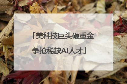美科技巨头砸重金争抢稀缺AI人才