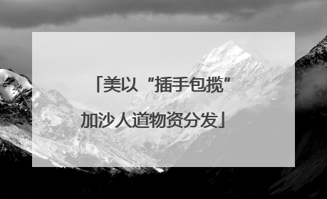 美以“插手包揽”加沙人道物资分发