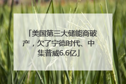 美国第三大储能商破产，欠了宁德时代、中集普威6.6亿