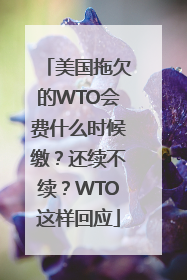 美国拖欠的WTO会费什么时候缴？还续不续？WTO这样回应