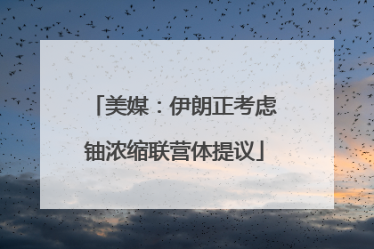美媒：伊朗正考虑铀浓缩联营体提议