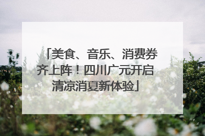 美食、音乐、消费券齐上阵！四川广元开启清凉消夏新体验