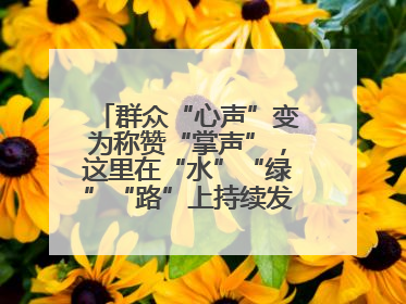 群众“心声”变为称赞“掌声”，这里在“水”“绿”“路”上持续发力，村容村貌焕然一新