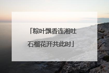 粽叶飘香连湘吐 石榴花开共此时