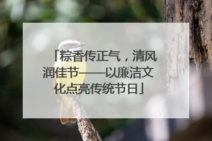 粽香传正气，清风润佳节——以廉洁文化点亮传统节日