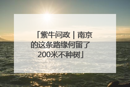 紫牛问政｜南京的这条路缘何留了200米不种树