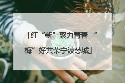 红“新”聚力青春 “梅”好共荣宁波慈城