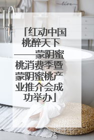 红动中国 桃醉天下——蒙阴蜜桃消费季暨蒙阴蜜桃产业推介会成功举办