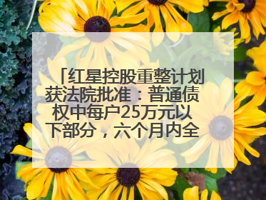 红星控股重整计划获法院批准：普通债权中每户25万元以下部分，六个月内全额现金清偿