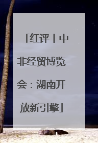 红评丨中非经贸博览会：湖南开放新引擎
