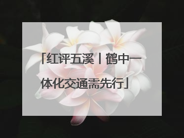 红评五溪丨鹤中一体化交通需先行