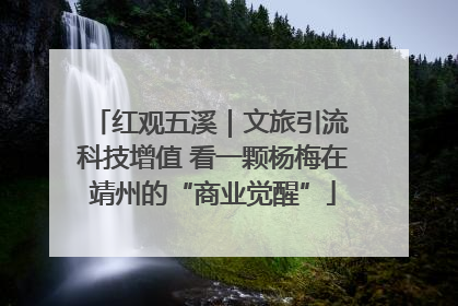 红观五溪｜文旅引流 科技增值 看一颗杨梅在靖州的“商业觉醒”