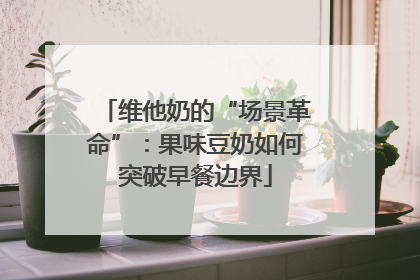 维他奶的“场景革命”：果味豆奶如何突破早餐边界