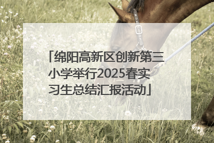 绵阳高新区创新第三小学举行2025春实习生总结汇报活动