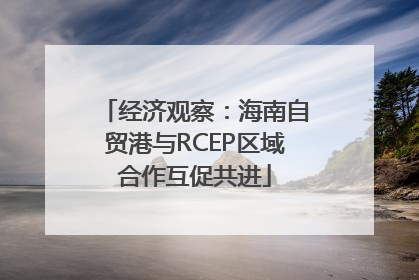 经济观察：海南自贸港与RCEP区域合作互促共进
