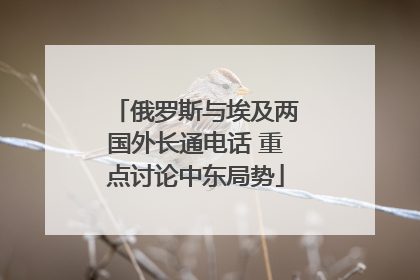俄罗斯与埃及两国外长通电话 重点讨论中东局势