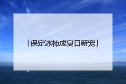 保定冰柿成夏日新宠