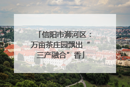 信阳市浉河区：万亩茶庄园飘出“三产融合”香