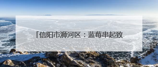 信阳市浉河区：蓝莓串起致富链 “莓”好生活入画来