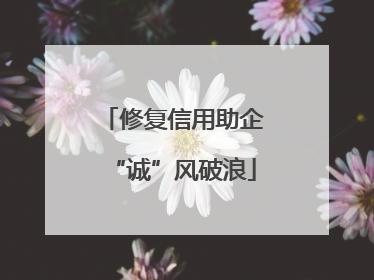 修复信用助企“诚”风破浪