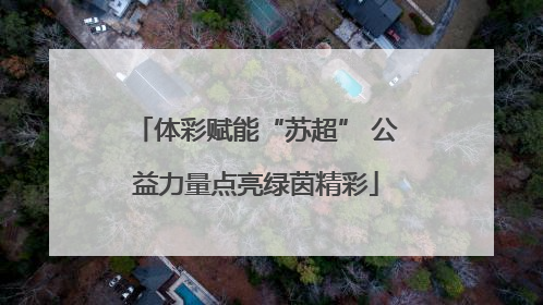 体彩赋能“苏超” 公益力量点亮绿茵精彩