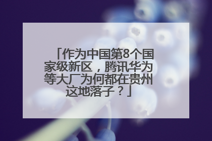 作为中国第8个国家级新区，腾讯华为等大厂为何都在贵州这地落子？