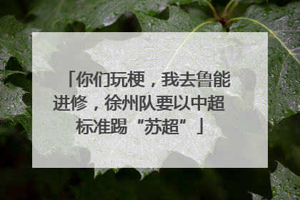 你们玩梗，我去鲁能进修，徐州队要以中超标准踢“苏超”