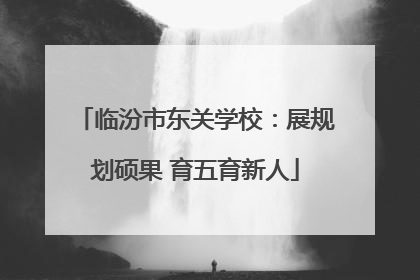 临汾市东关学校：展规划硕果 育五育新人