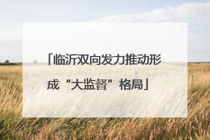 临沂双向发力推动形成“大监督”格局
