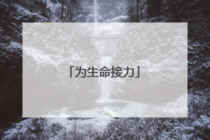 为生命接力