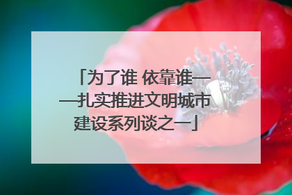 为了谁 依靠谁——扎实推进文明城市建设系列谈之一
