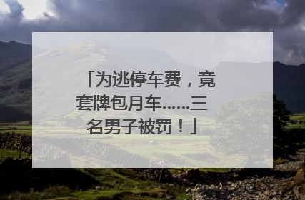 为逃停车费，竟套牌包月车……三名男子被罚！