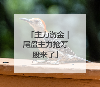 主力资金｜尾盘主力抢筹股来了