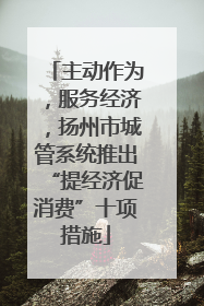主动作为，服务经济，扬州市城管系统推出“提经济促消费”十项措施