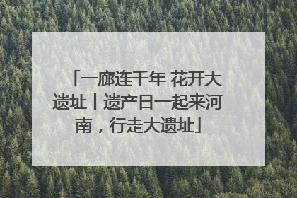 一廊连千年 花开大遗址丨遗产日一起来河南，行走大遗址